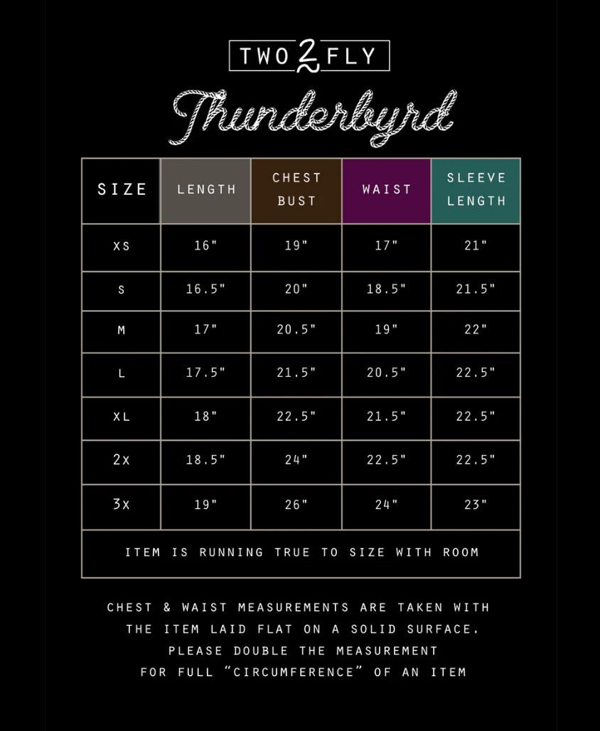 SALE- 2Fly Thunderbyrd Hoodie with Brushed Embroidery