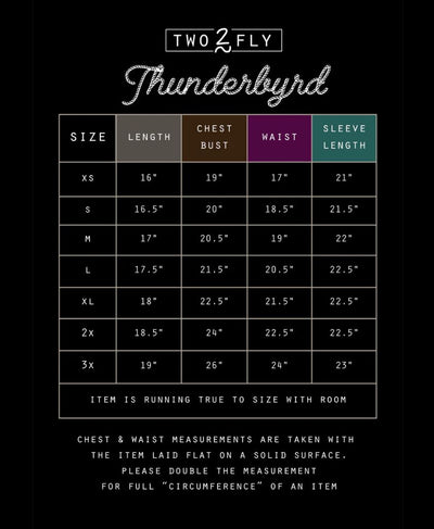 SALE- 2Fly Thunderbyrd Hoodie with Brushed Embroidery