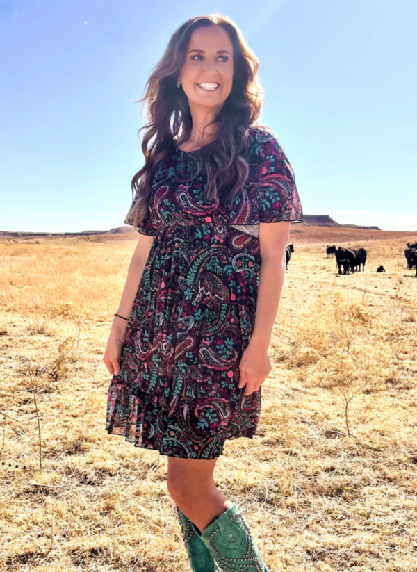 Sterling Kreek Painted Night Paisley Dress