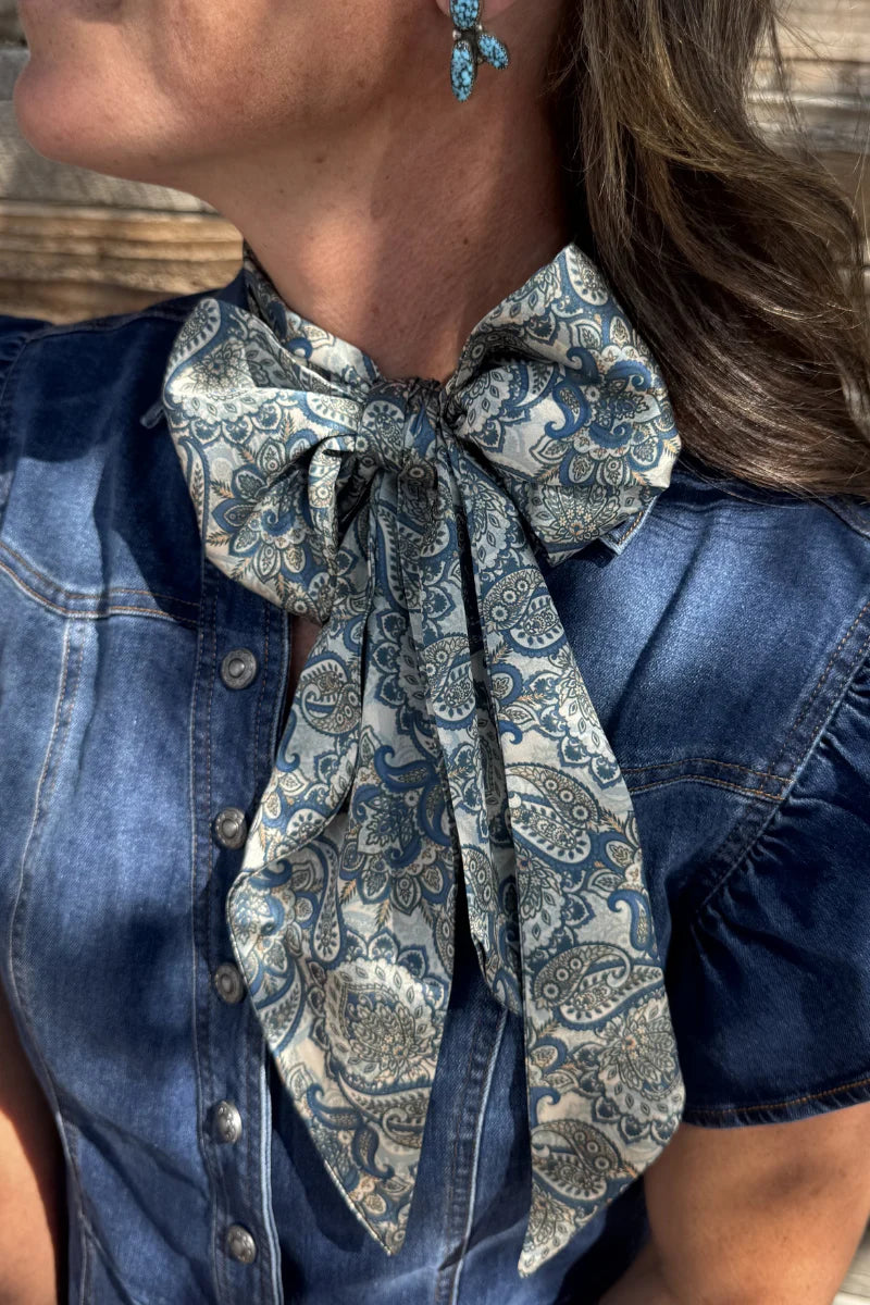 Dusty Denim Paisley Twilly