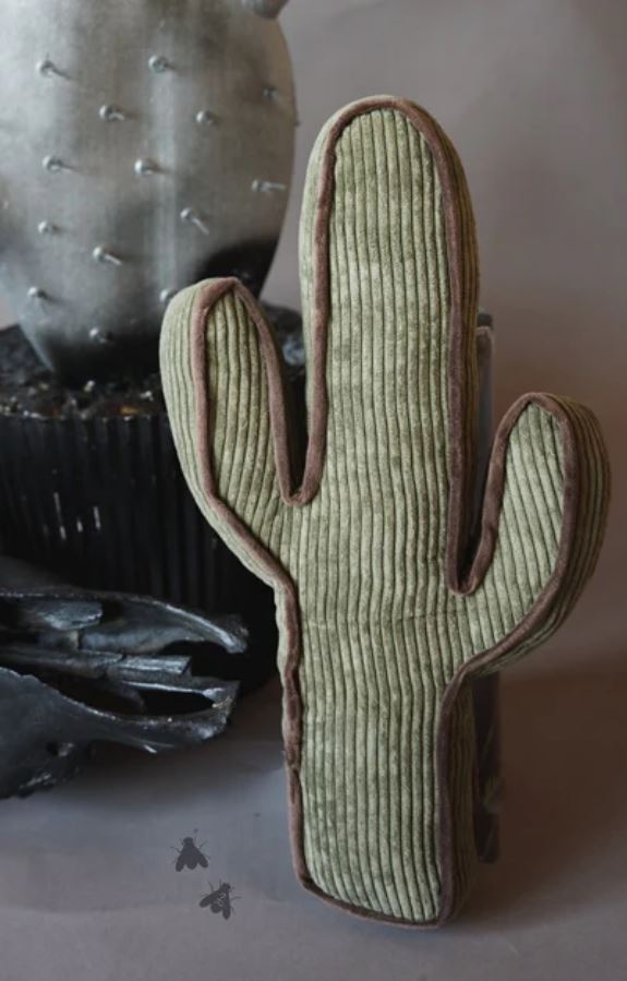 Kick a Cactus Pillow- Agave