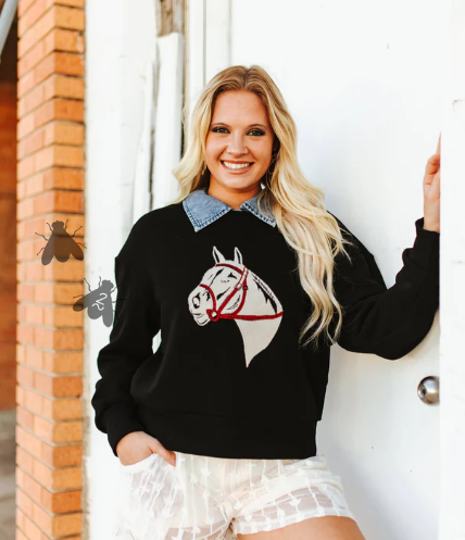 2Fly Fort Worth Nights Sweatshirt