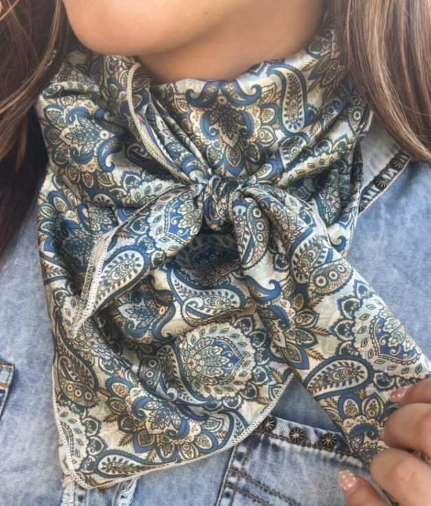 Dusty Denim Paisley Wild Rag
